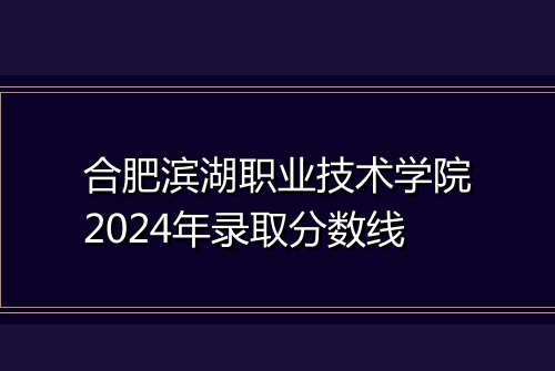 合肥滨湖职业技术学院2024年录取分数线