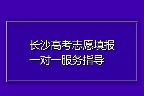 长沙高考志愿填报一对一服务指导
