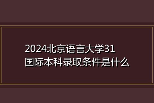 2024北京语言大学31国际本科录取条件是什么