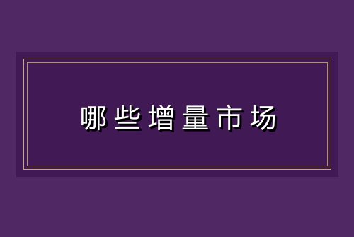 哪些增量市场