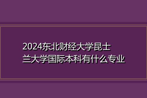 2024东北财经大学昆士兰大学国际本科有什么专业