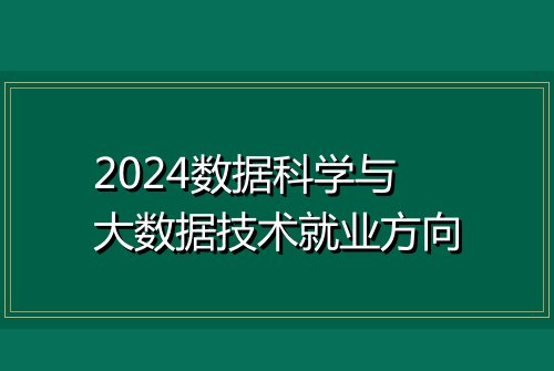 2024数据科学与大数据技术就业方向