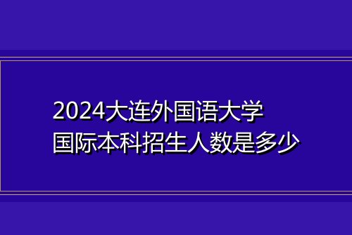 2024大连外国语大学国际本科招生人数是多少