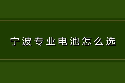 宁波专业电池怎么选