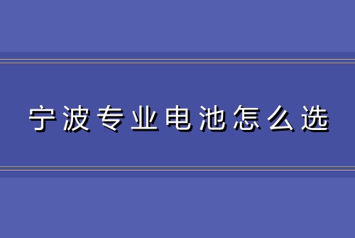 宁波专业电池怎么选