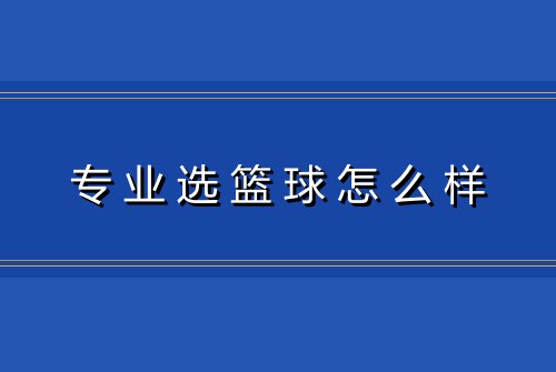 专业选篮球怎么样