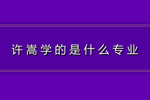 许嵩学的是什么专业