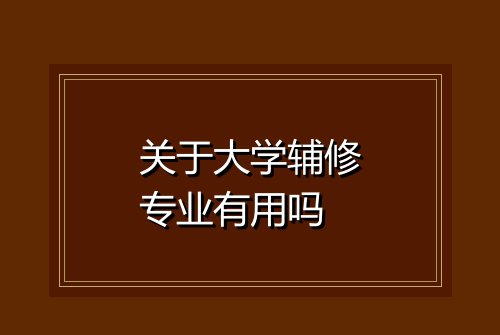 关于大学辅修专业有用吗