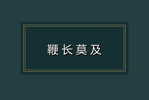 鞭长莫及