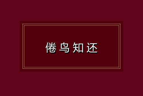倦鸟知还