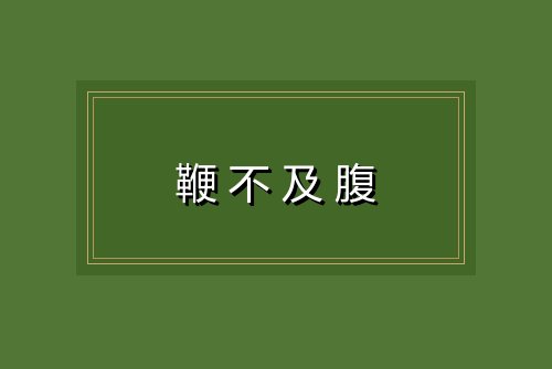 鞭不及腹