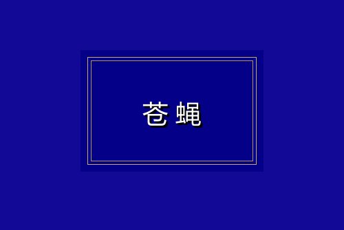 苍蝇