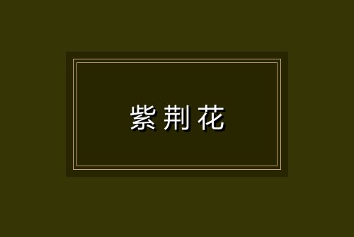 紫荆花