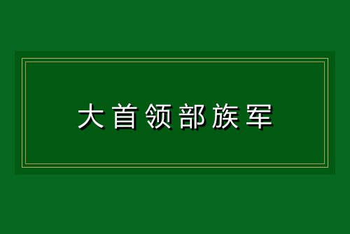 大首领部族军