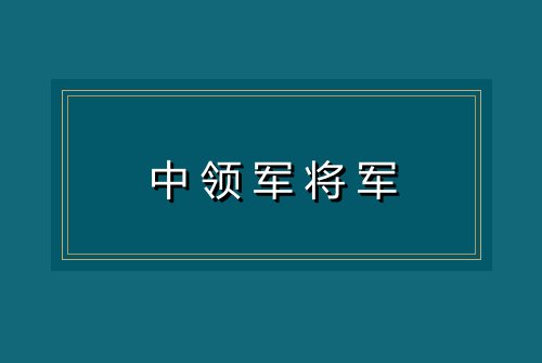 中领军将军