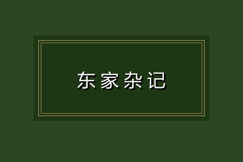 东家杂记