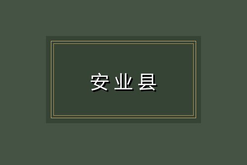 安业县