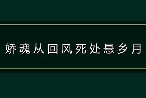 娇魂从回风死处悬乡月