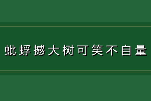 蚍蜉撼大树可笑不自量