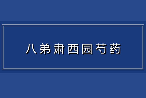 八弟肃西园芍药