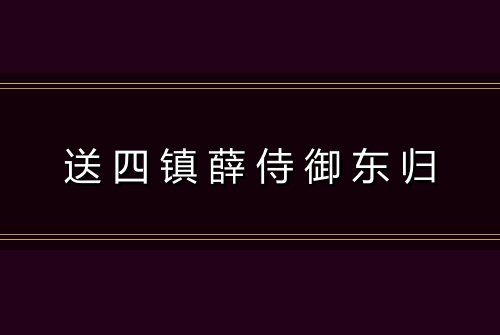 送四镇薛侍御东归