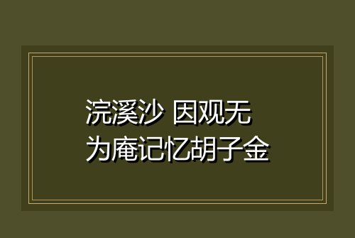 浣溪沙 因观无为庵记忆胡子金