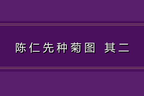 陈仁先种菊图 其二