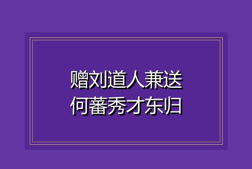 赠刘道人兼送何蕃秀才东归