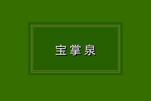 宝掌泉
