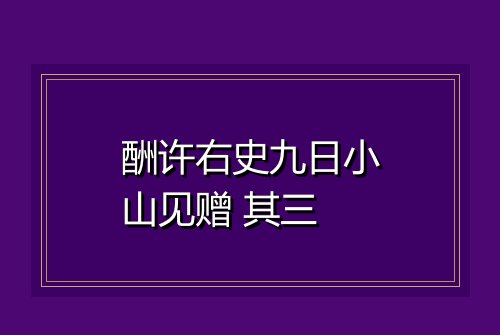 酬许右史九日小山见赠 其三