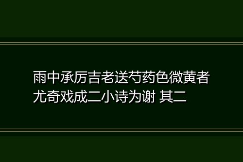 雨中承厉吉老送芍药色微黄者尤奇戏成二小诗为谢 其二