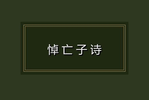 悼亡子诗