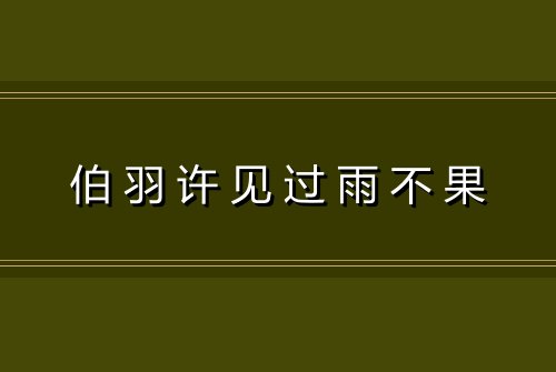 伯羽许见过雨不果