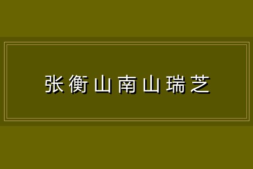 张衡山南山瑞芝