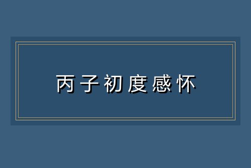 丙子初度感怀