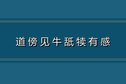 道傍见牛舐犊有感
