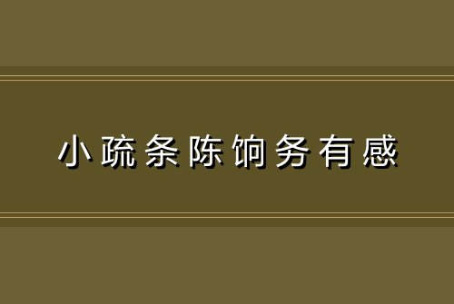 小疏条陈饷务有感
