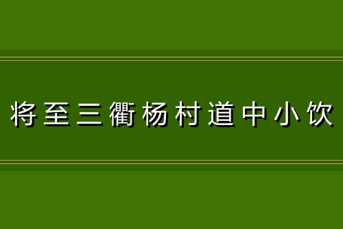将至三衢杨村道中小饮