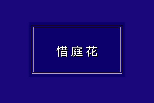 惜庭花