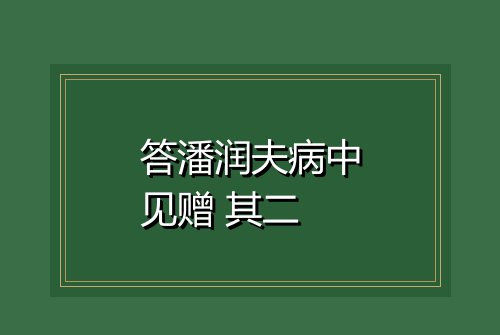 答潘润夫病中见赠 其二