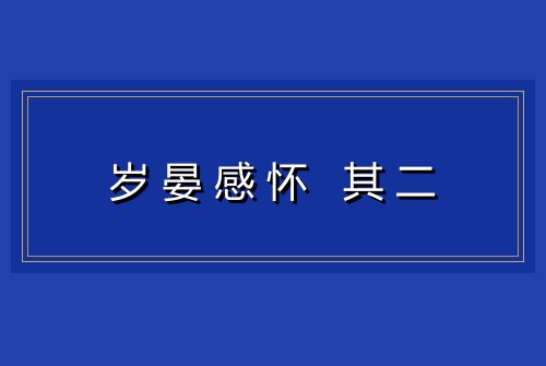岁晏感怀 其二