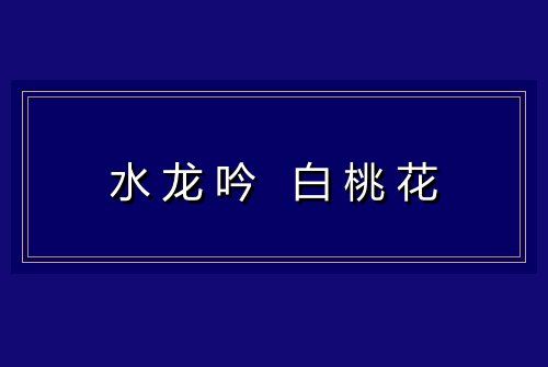 水龙吟 白桃花