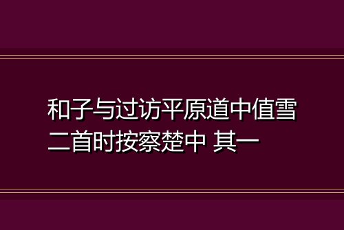 和子与过访平原道中值雪二首时按察楚中 其一
