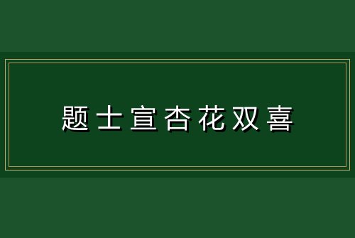 题士宣杏花双喜