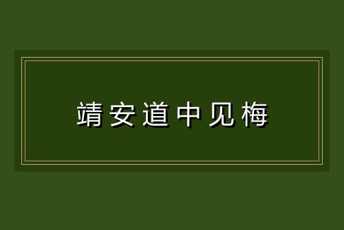 靖安道中见梅