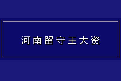 河南留守王大资