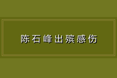 陈石峰出殡感伤