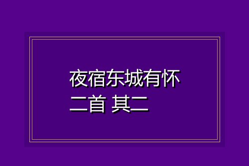 夜宿东城有怀二首 其二