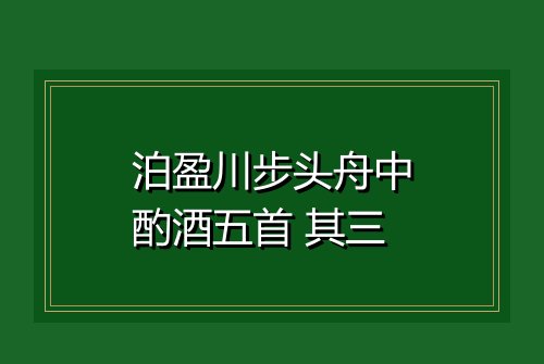泊盈川步头舟中酌酒五首 其三