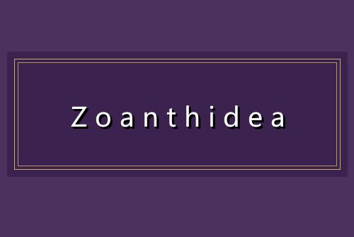 Zoanthidea